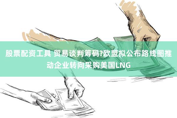 股票配资工具 贸易谈判筹码?欧盟拟公布路线图推动企业转向采购美国LNG