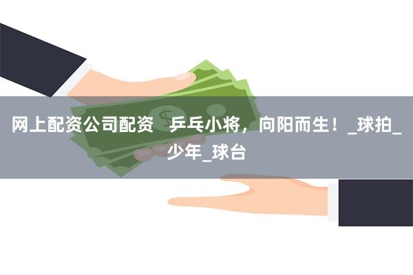 网上配资公司配资   乒乓小将，向阳而生！_球拍_少年_球台