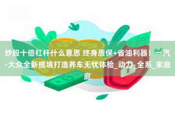 炒股十倍杠杆什么意思 终身质保+省油利器！一汽-大众全新揽境打造养车无忧体验_动力_全系_家庭