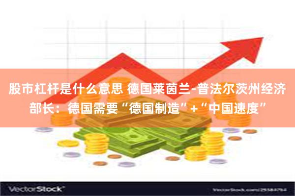 股市杠杆是什么意思 德国莱茵兰-普法尔茨州经济部长：德国需要“德国制造”+“中国速度”