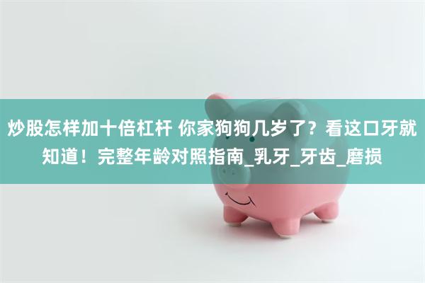 炒股怎样加十倍杠杆 你家狗狗几岁了？看这口牙就知道！完整年龄对照指南_乳牙_牙齿_磨损